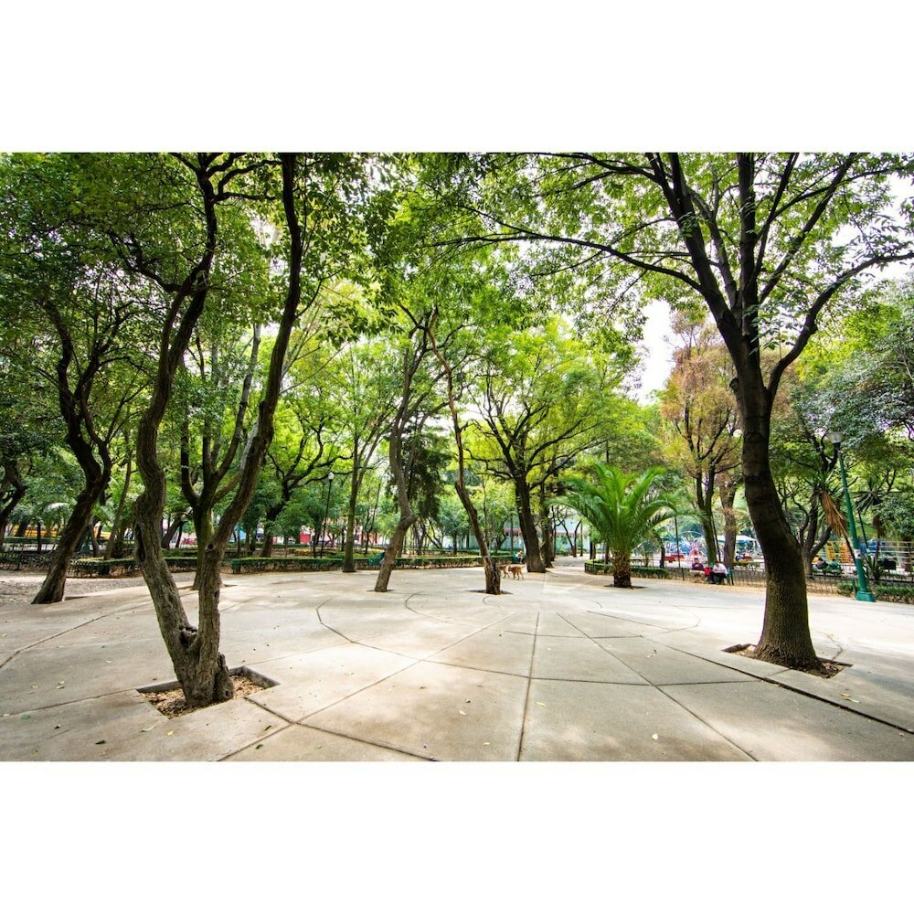 Фото Sophisticated Park Venue Apartment Near Polanco