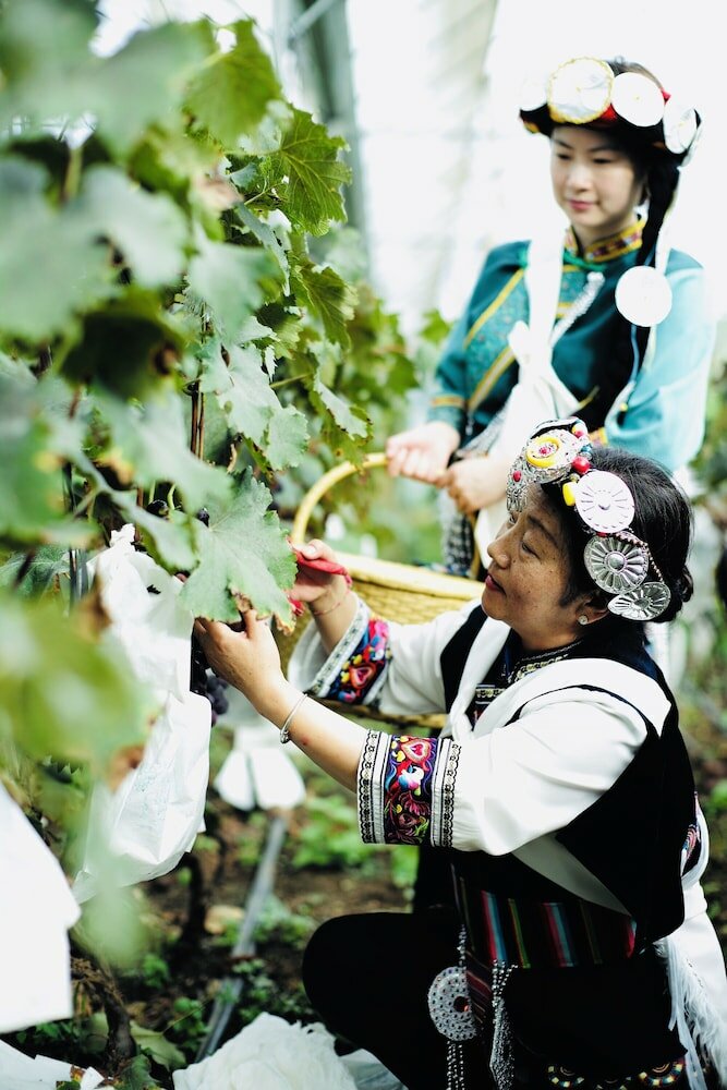 Фото Lux Tea Horse Road Da Ju Village