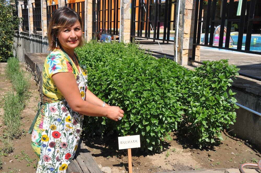 Фото Hotel Casa Art