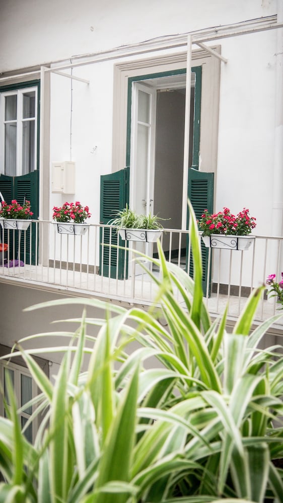 Фото Toledo Class