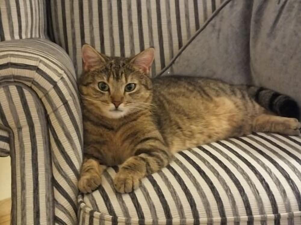 Фото Crowfield House