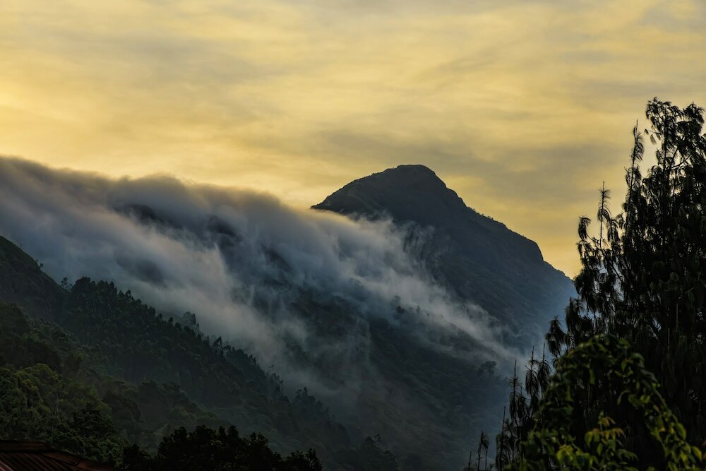 Фото Windermere Estate