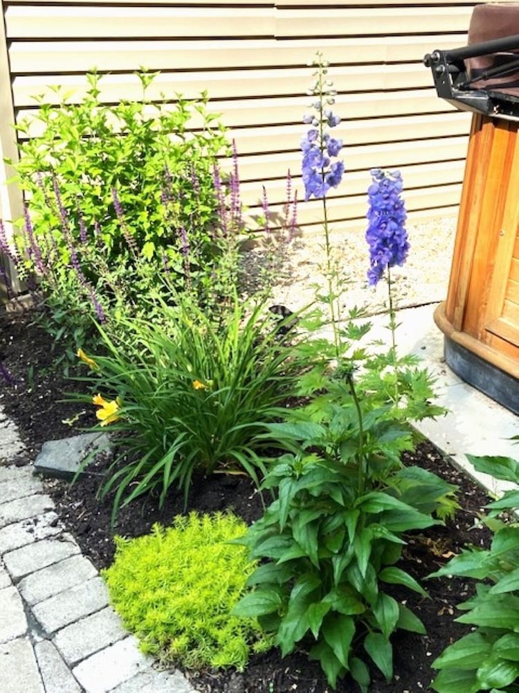 Фото Cottage on Caledonia Bed & Breakfast