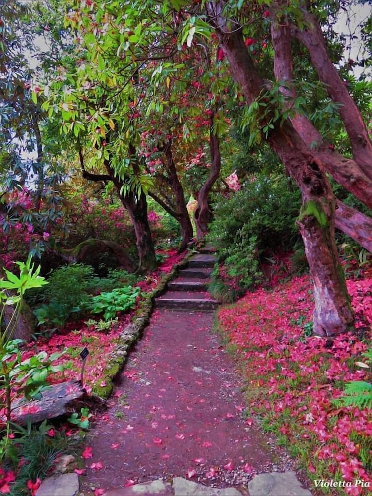 Фото Akuaduulza B&b