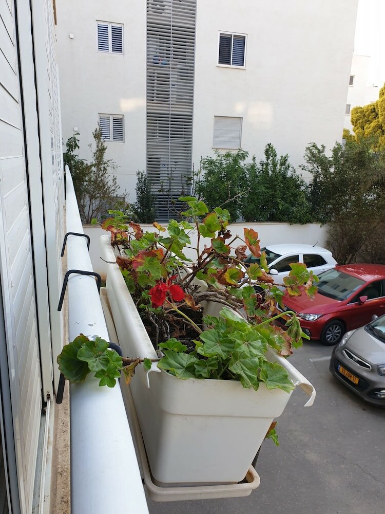 Фото Comfortable apartment