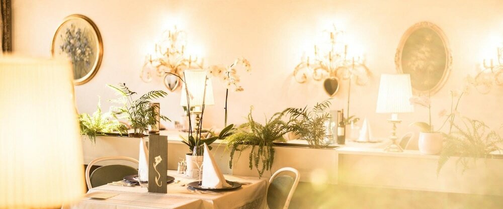 Фото Enzian Genziana