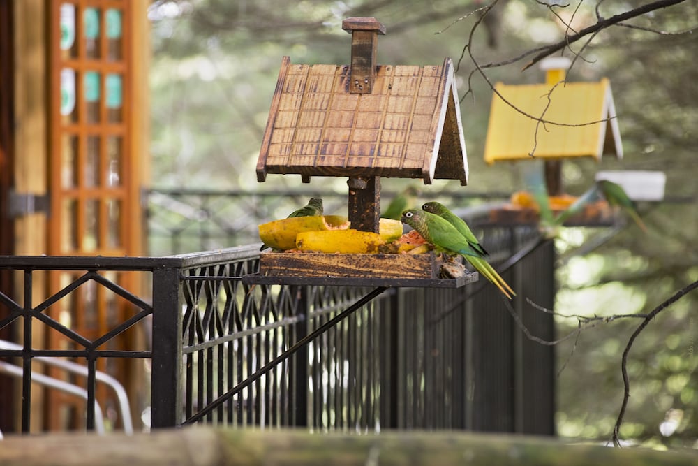 Фото Pousada La Toscana