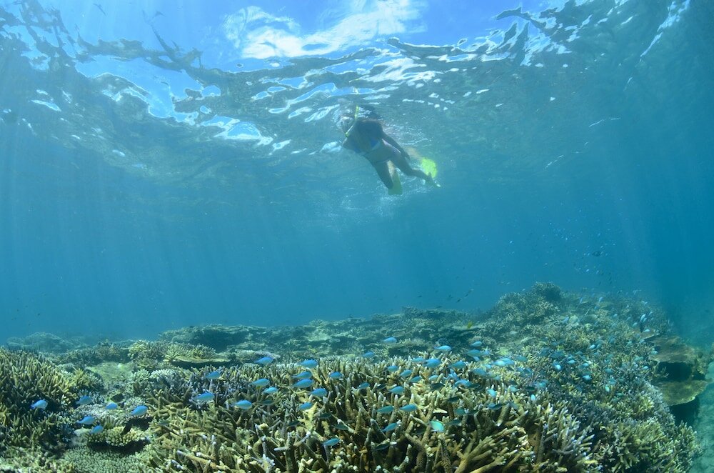 Фото Fusaki Beach Resort Hotel & Villas