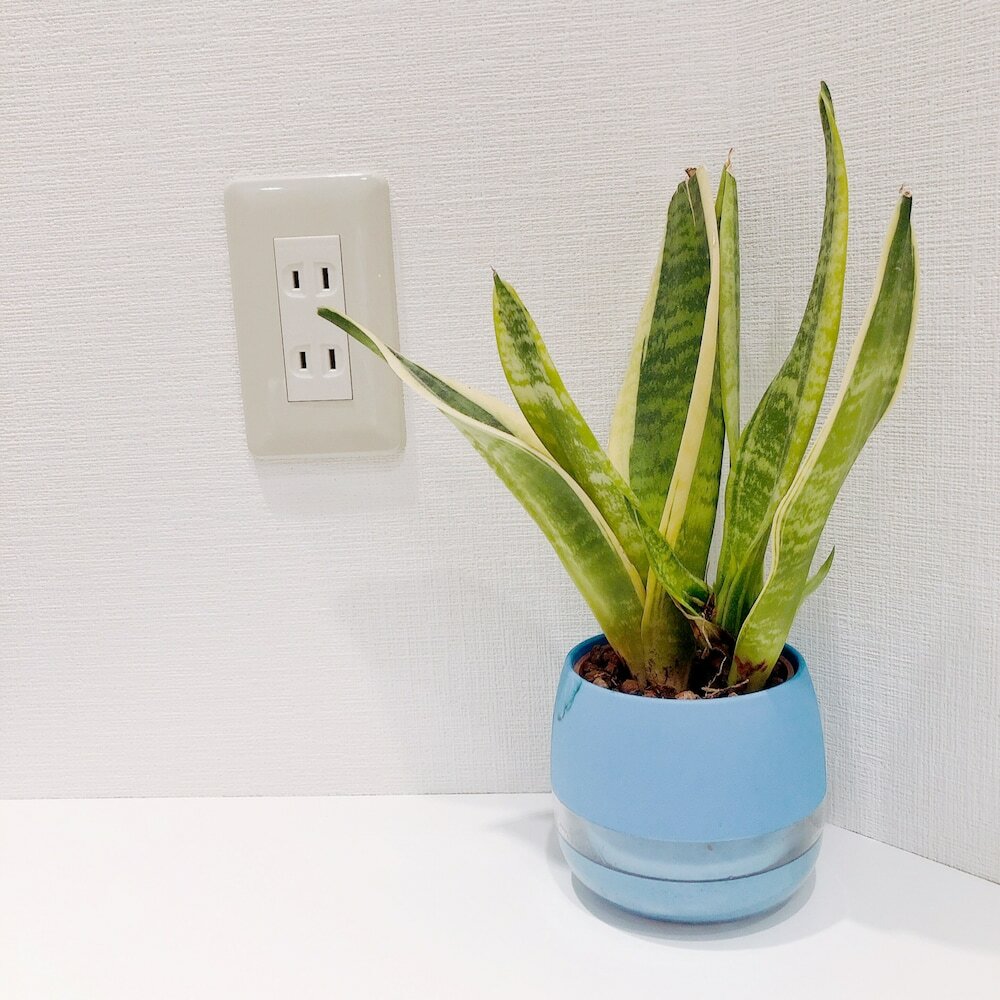 Фото Nestle Tokyo Shinjuku Family House 102