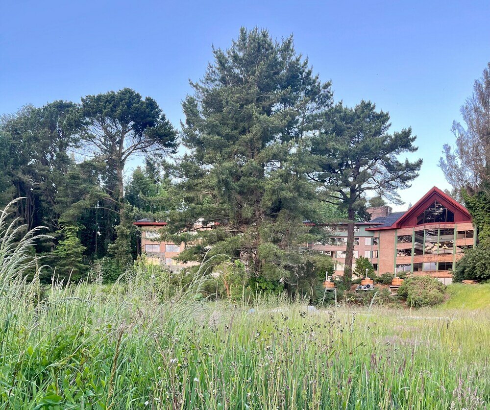 Фото Hotel Puerta del Sur