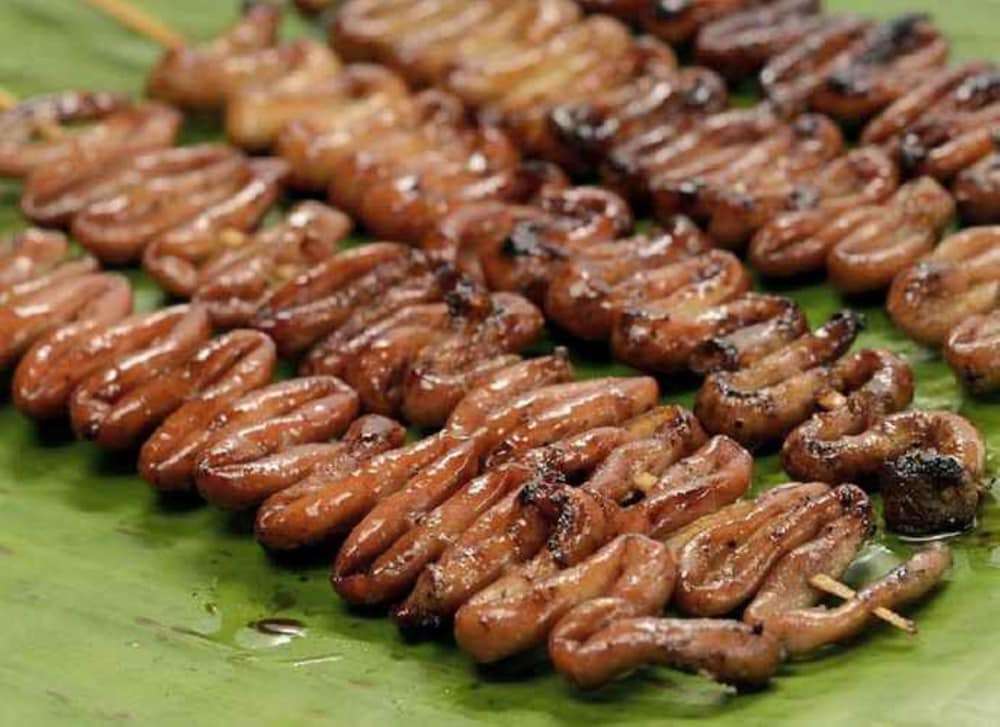 Фото Cebu Hostel and Glamping