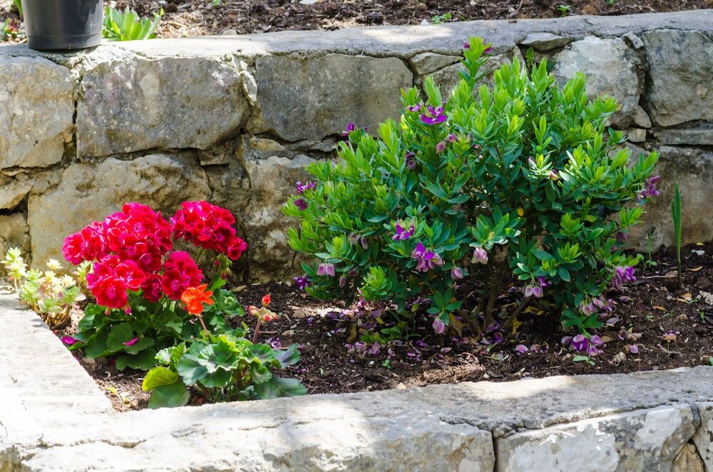 Фото Apartment Nadine