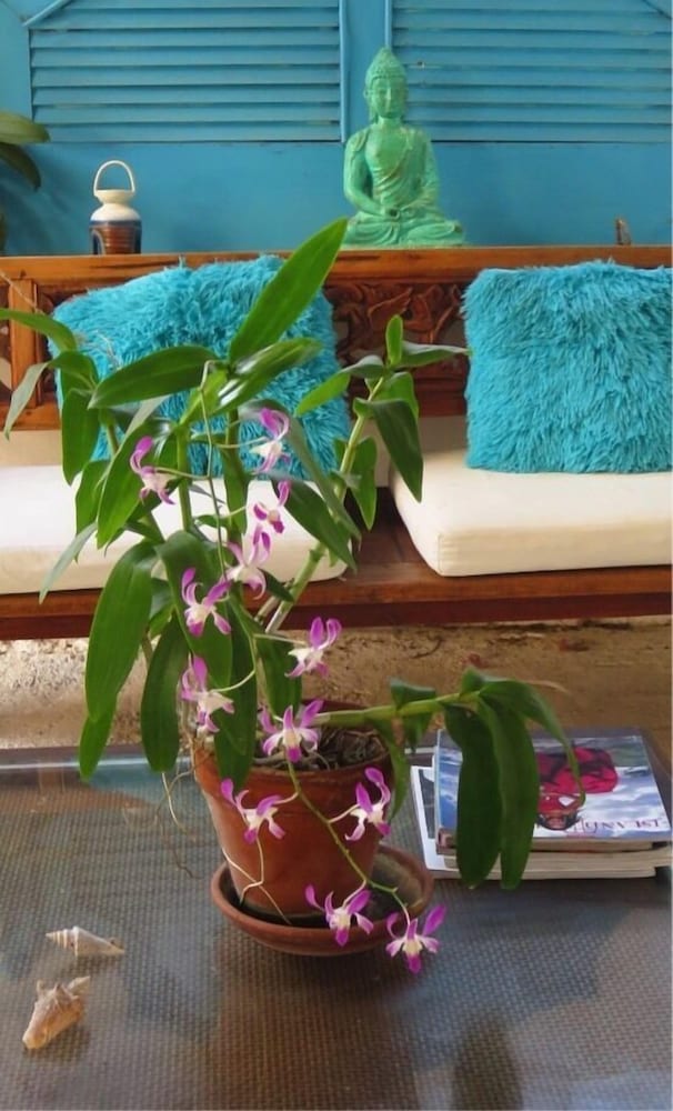 Фото Spectacular Beach Front View