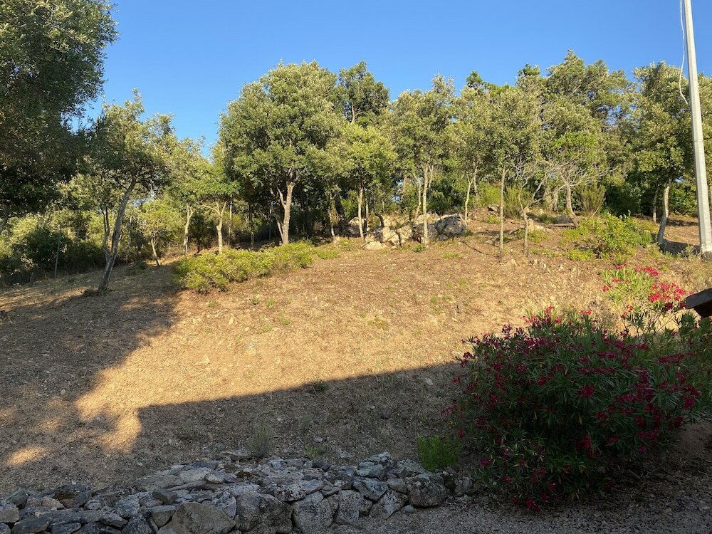 Фото Li Paduleddi Country Guest House