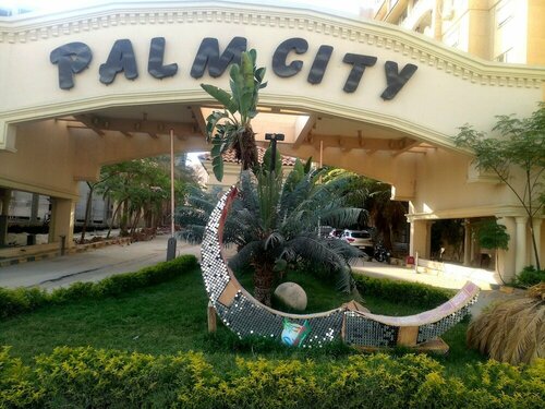 Palm City