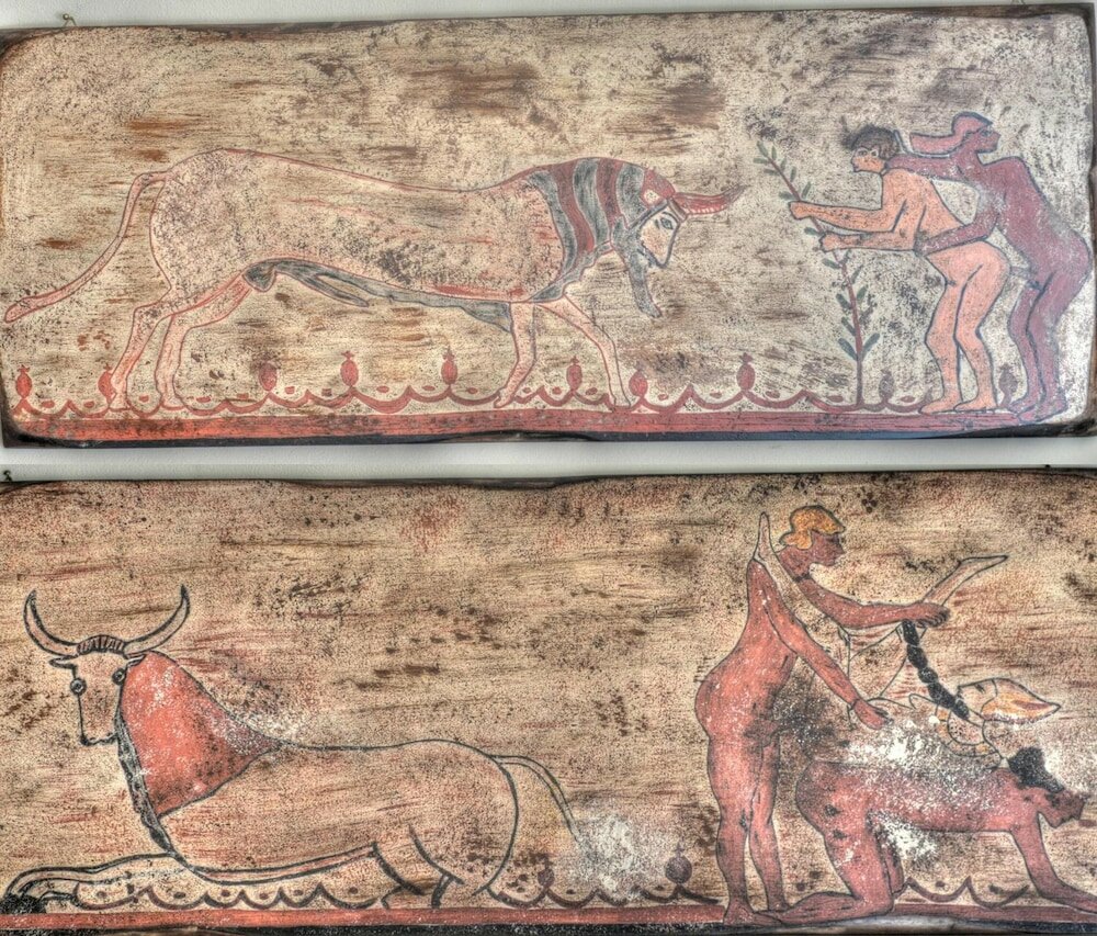 Фото B&b Qui Dormì L'Etrusco