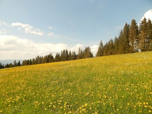 Гостиница Berggasthof Sonne Imberg