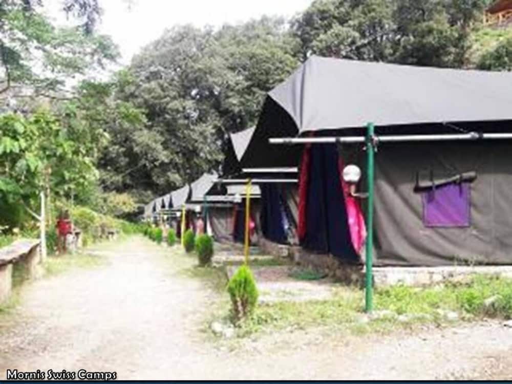 Фото Mornis Wood Paradise