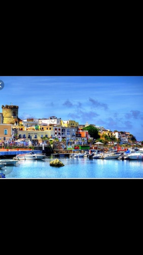 Фото Domus Linda B&b