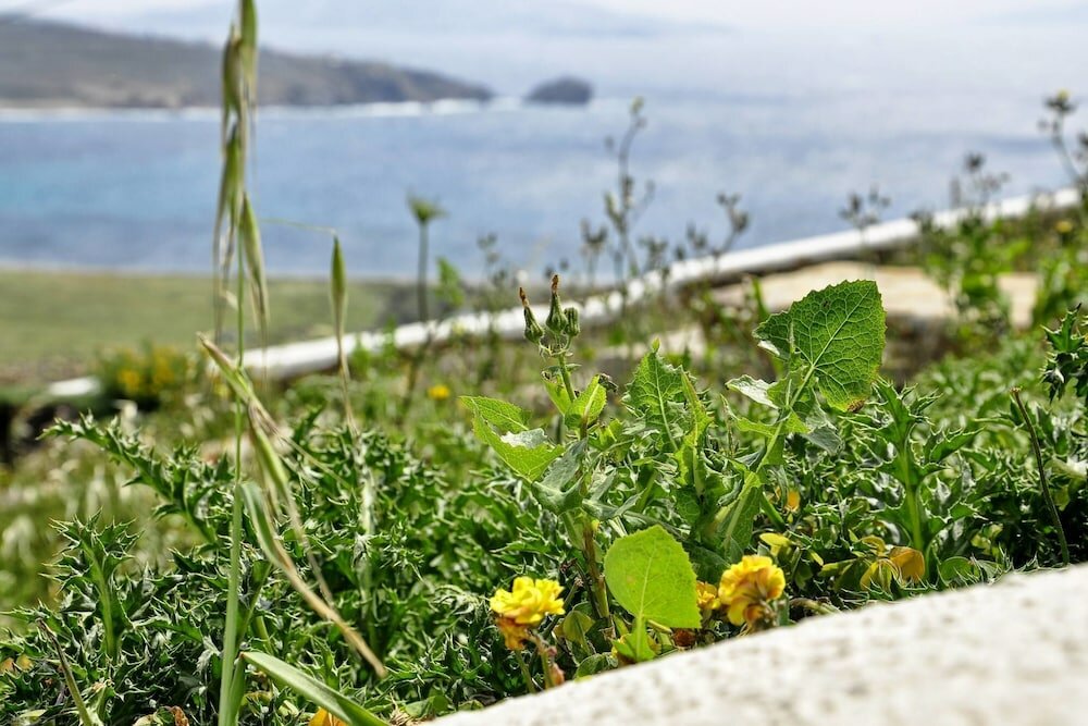 Фото Private Vacation Home - Near Mykonos New Port