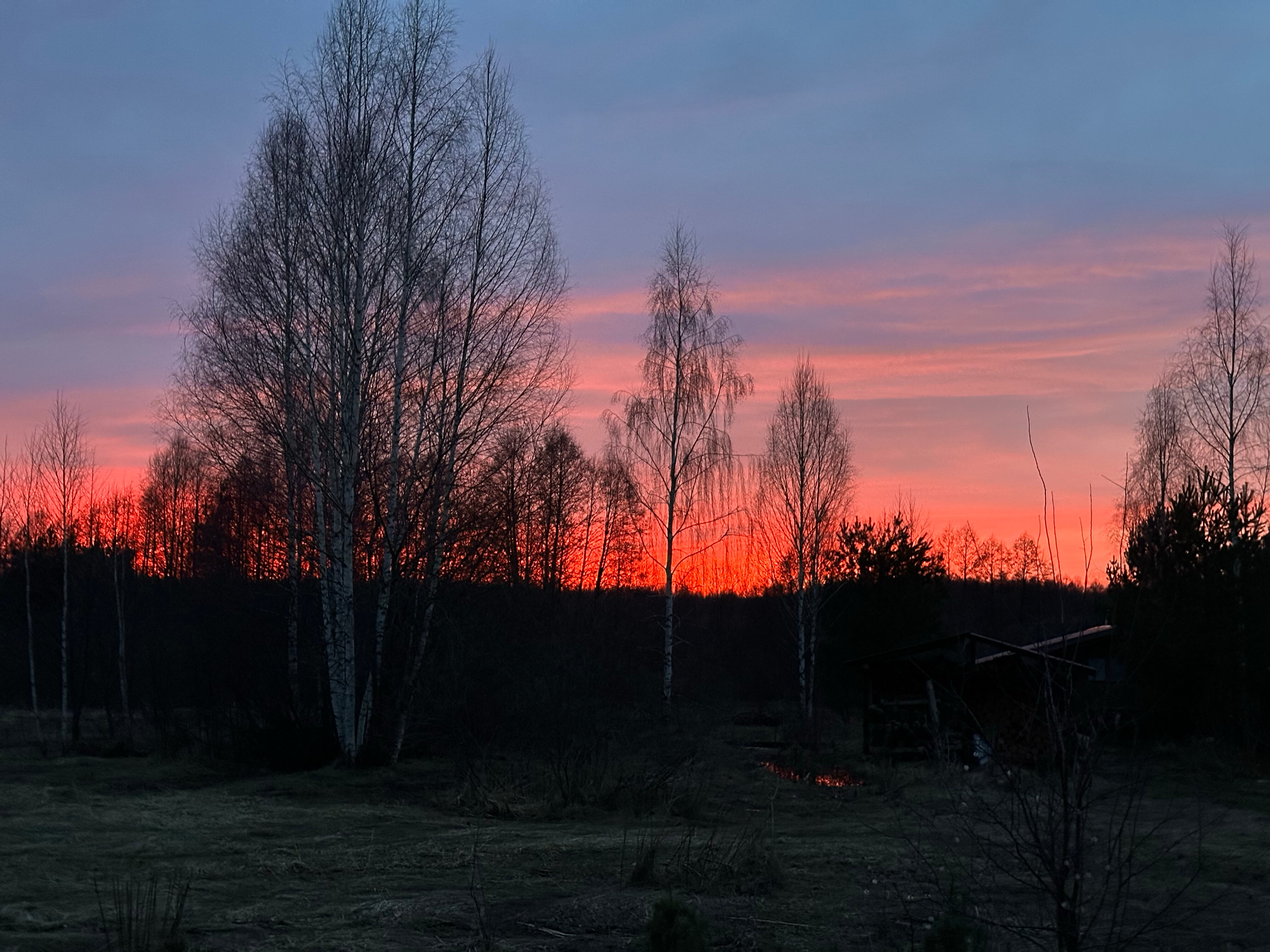 Фото Кедросад