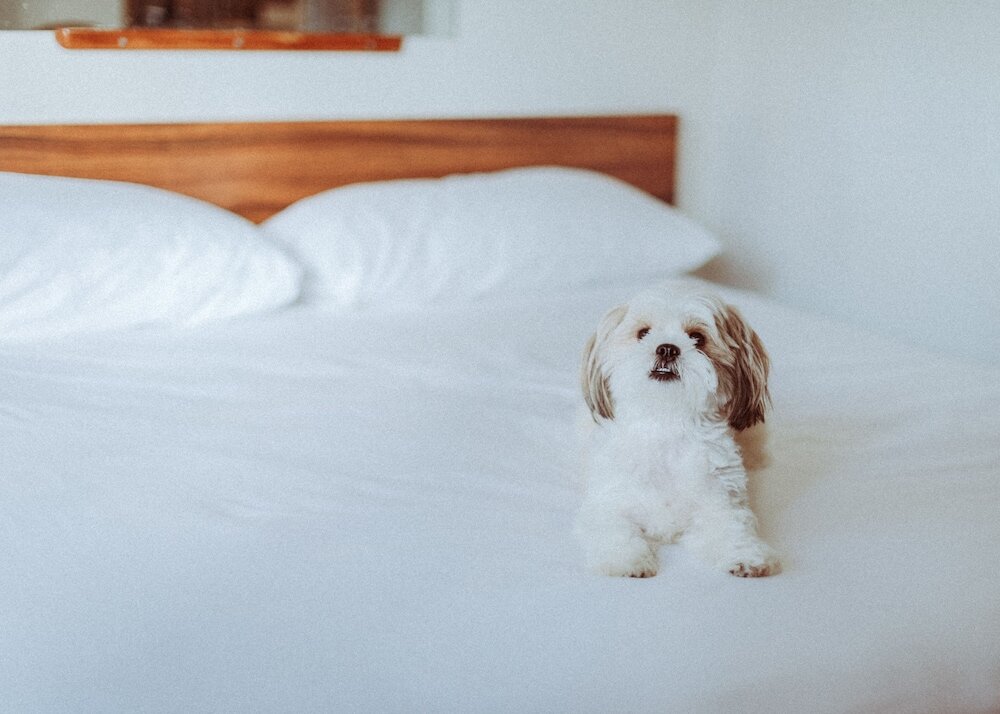 Фото Royal Grove Waikiki