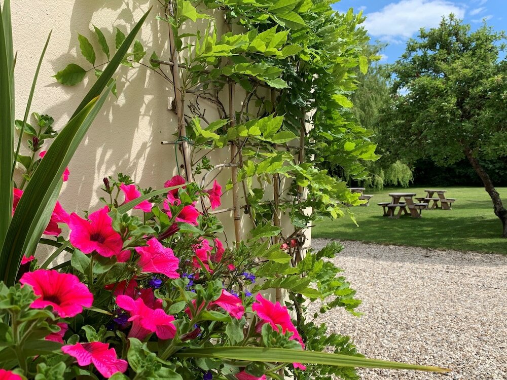 Фото Hope Orchard Bed & Breakfast