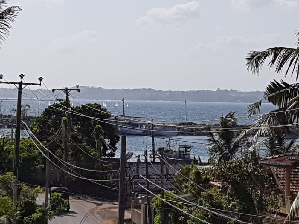 Фото My Whales Guest House