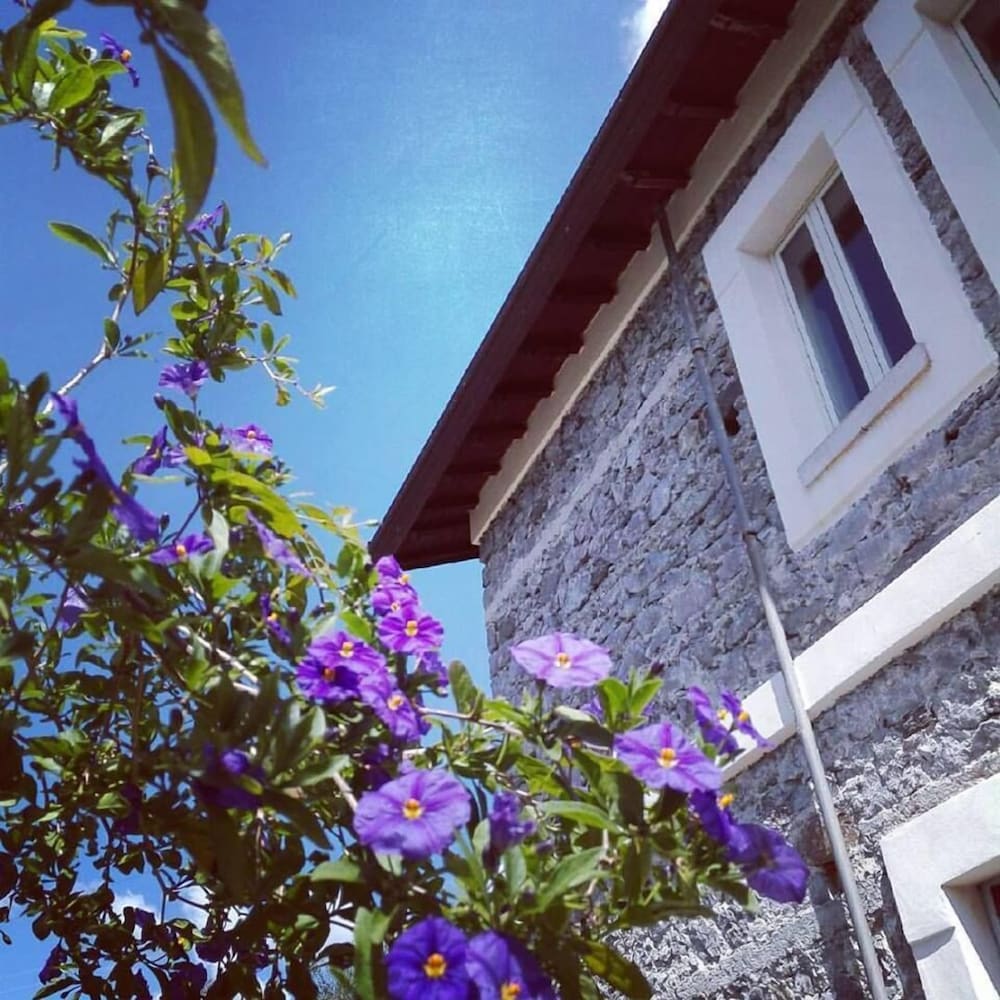 Фото Quarto Paradiso B&b