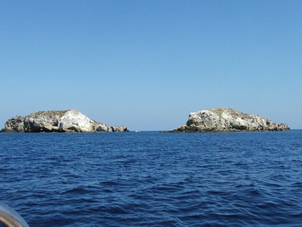 Фото Da Francesco