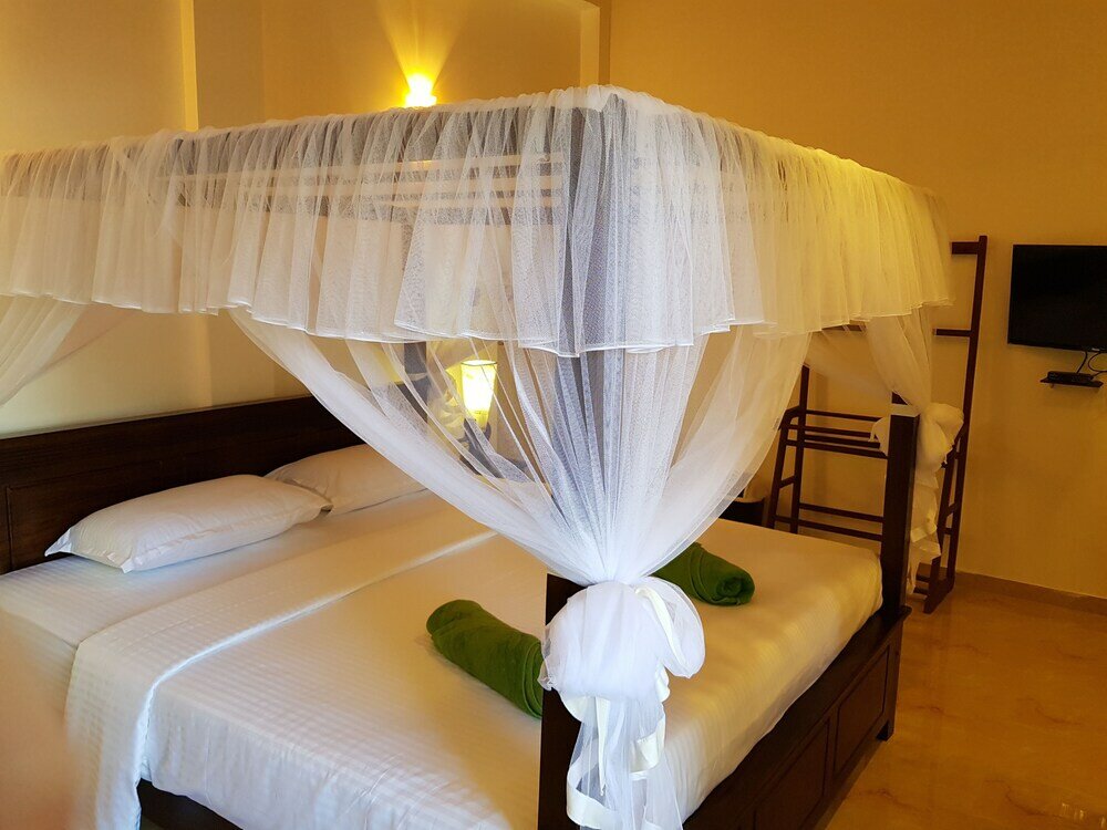 Фото My Whales Guest House