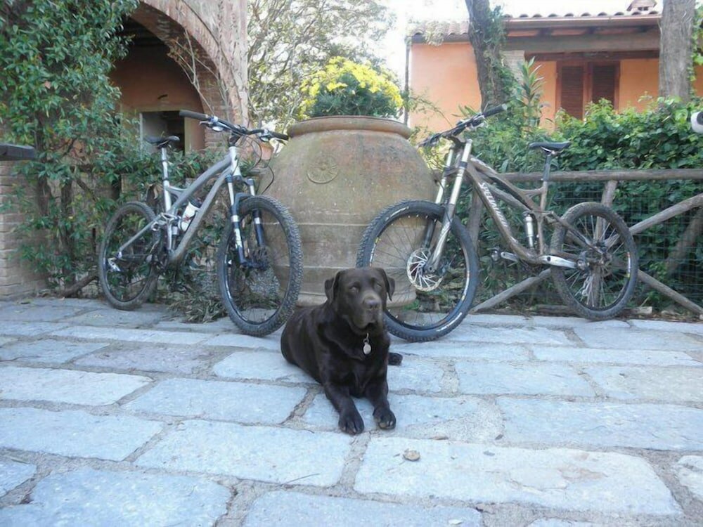 Фото Agriturismo Fattoria La Prugnola