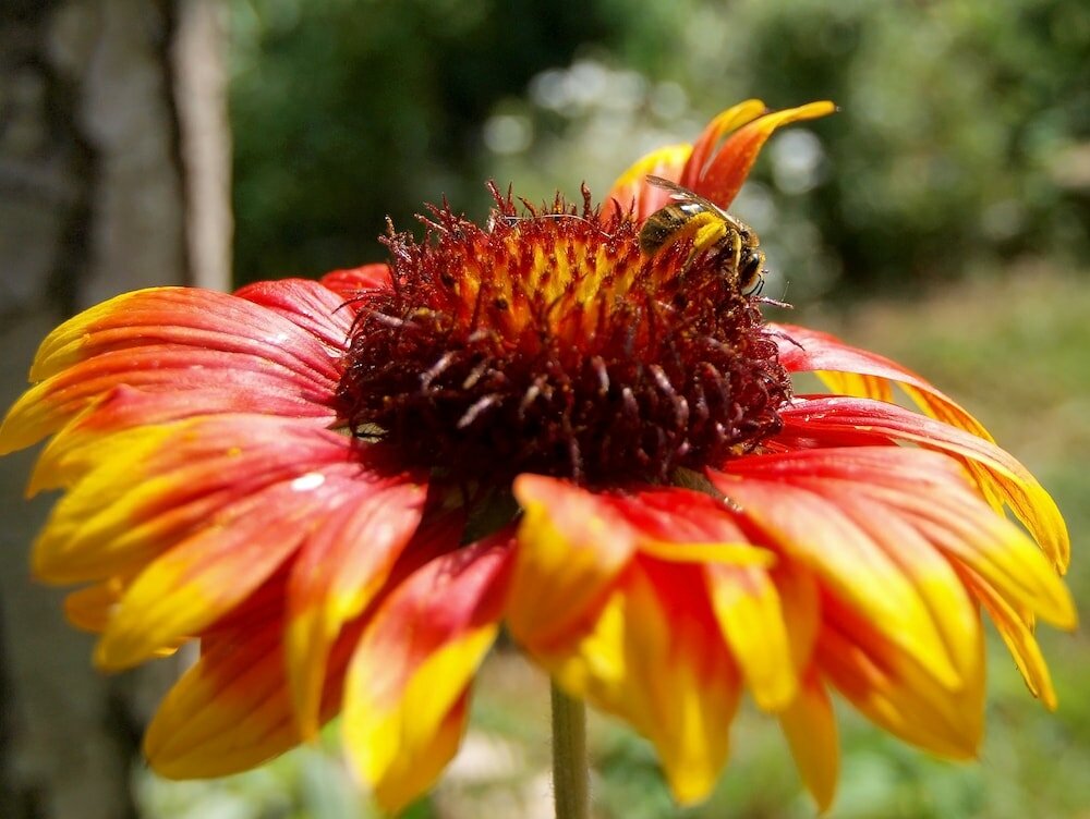 Фото Apartment 108