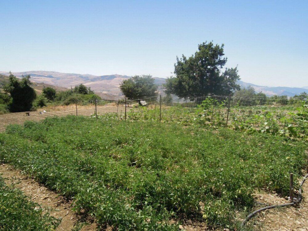 Фото Agriturismo Cuca