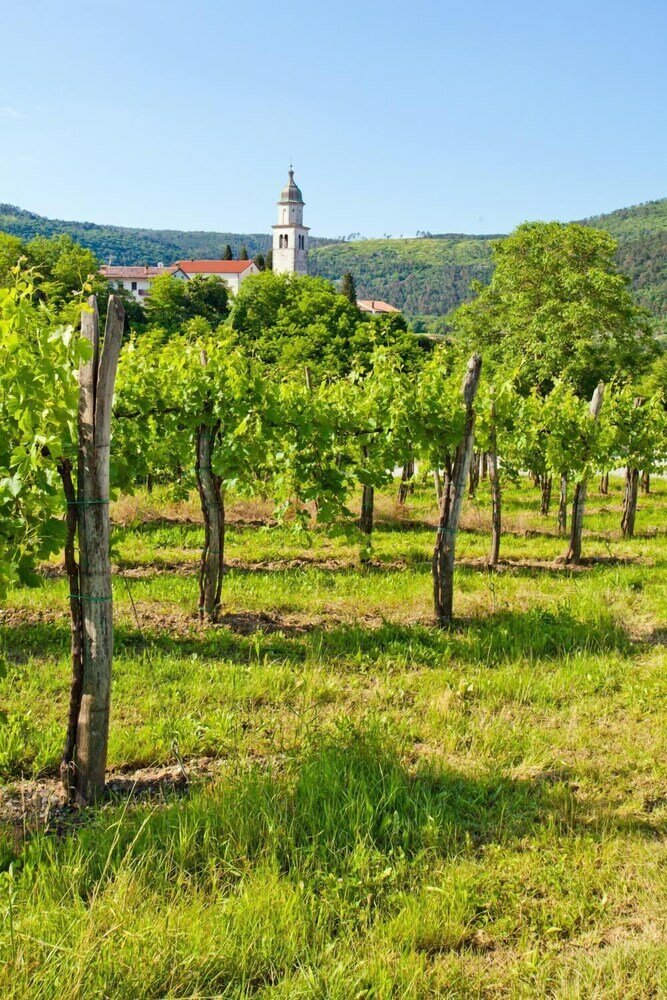 Фото Guesthouse Ošterija