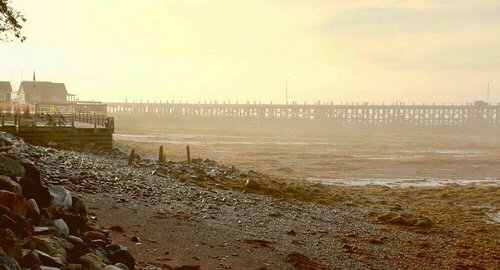 Внешний вид отеля Treadwell Inn в Городе Святого Андрее, фото 5