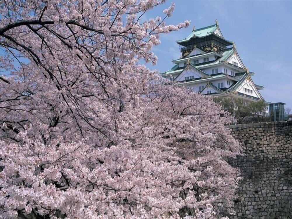 Фото Henn na Hotel Kansai Airport