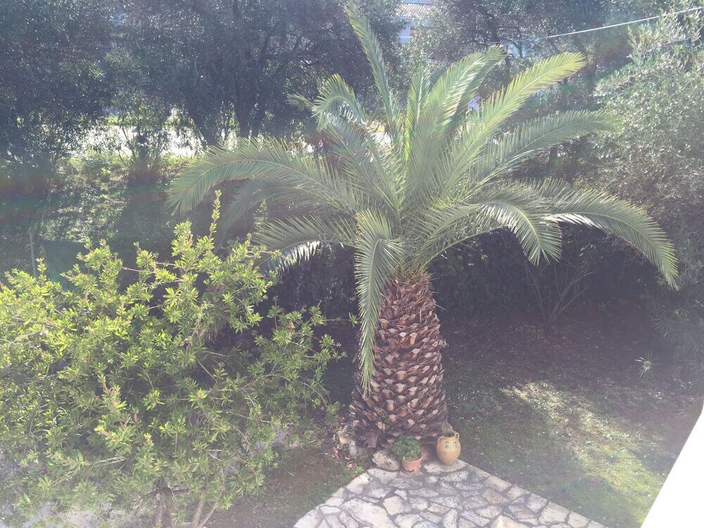 Фото Alexander Apartments