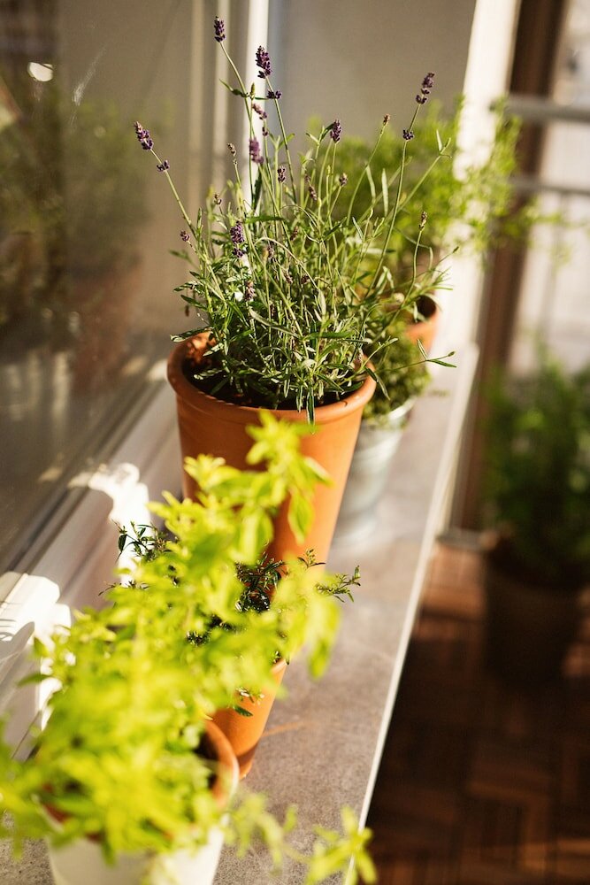 Фото Garden apartment