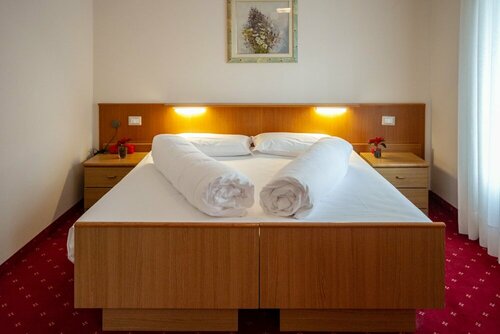 Гостиница Hotel Stella Alpina