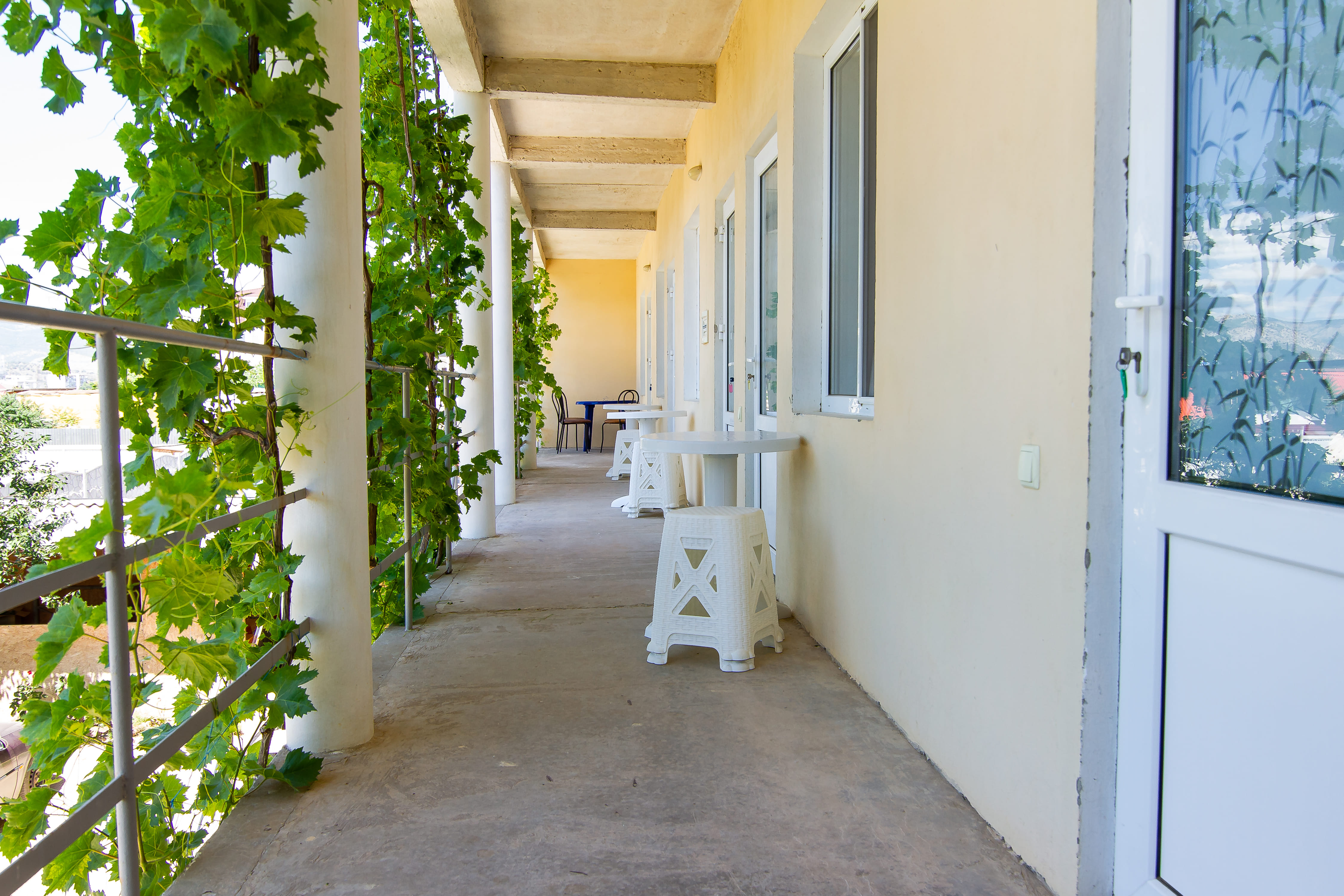 Фото Отдых у Тимура