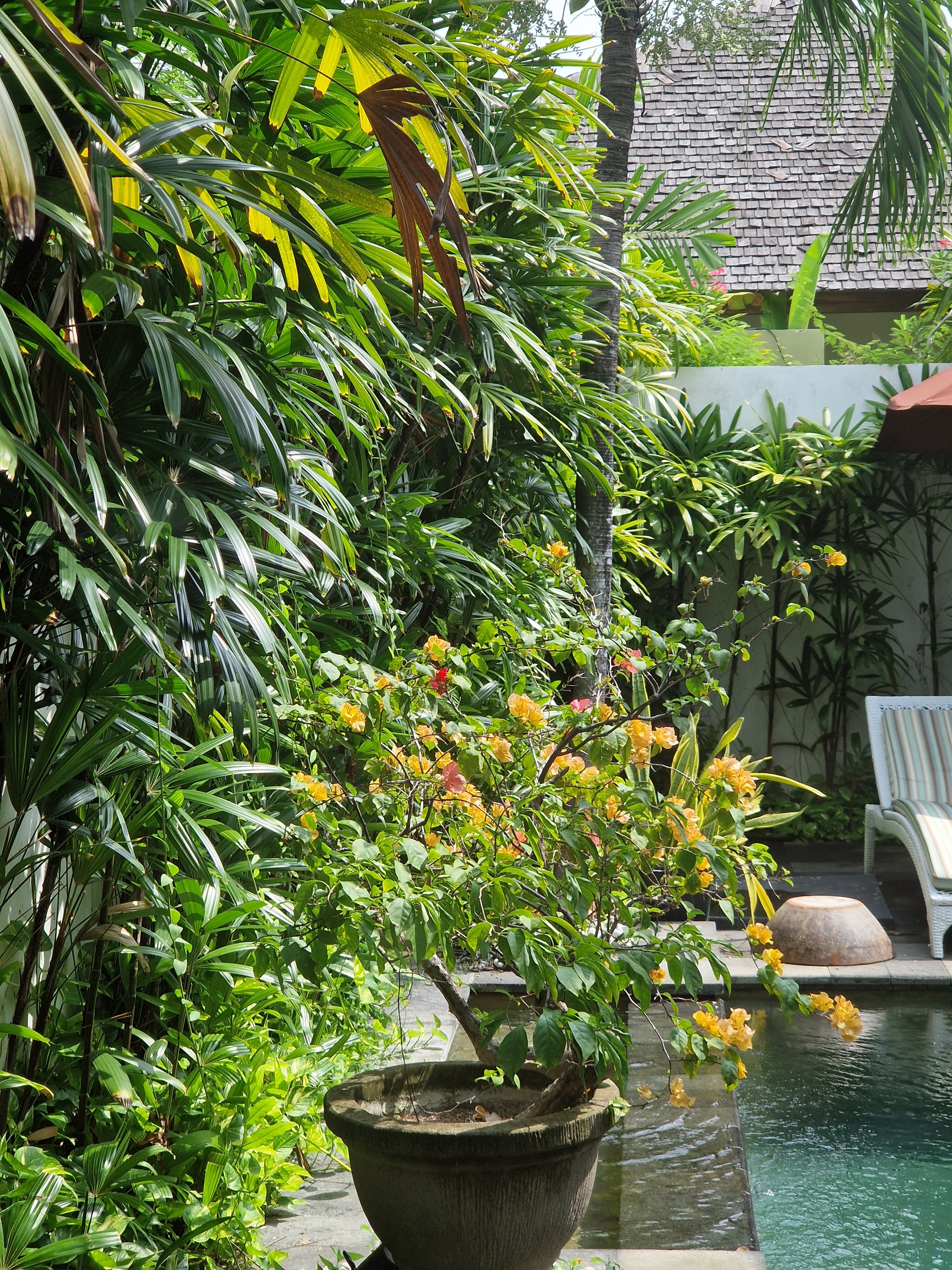 Фото Ellora Villas