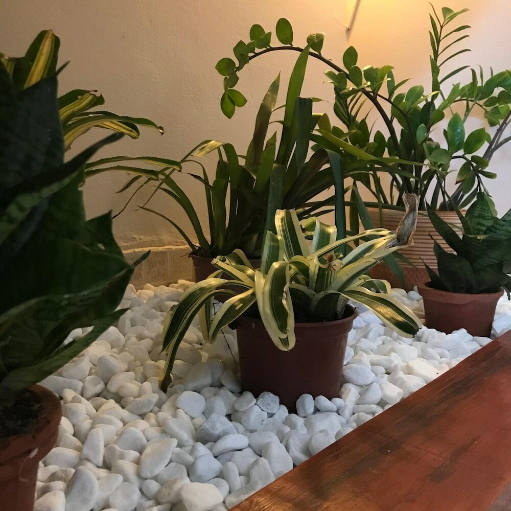 Фото Pousada Ilha do Encanto