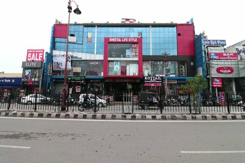 Oyo 16905 The Rohtak Hyatt