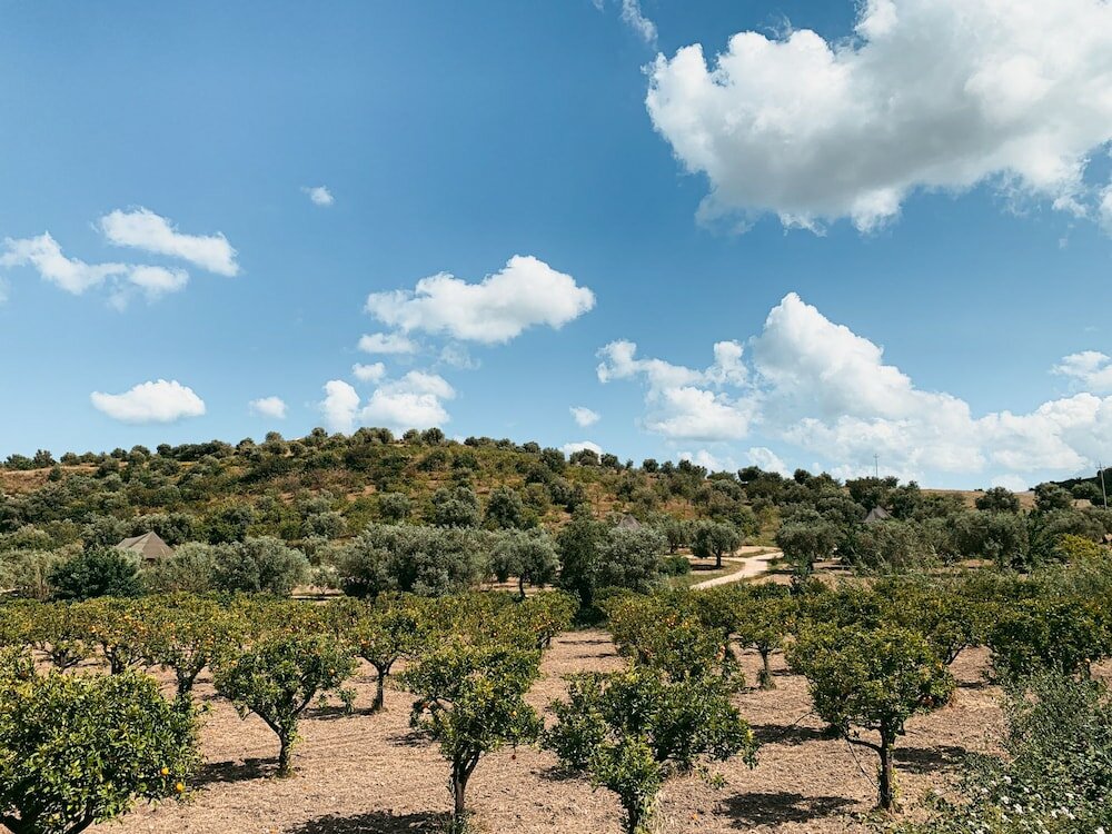 Фото Iuta Glamping & Farm