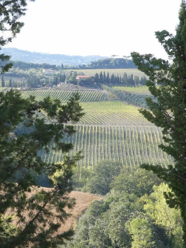 Фото Agriturismo Le Rote