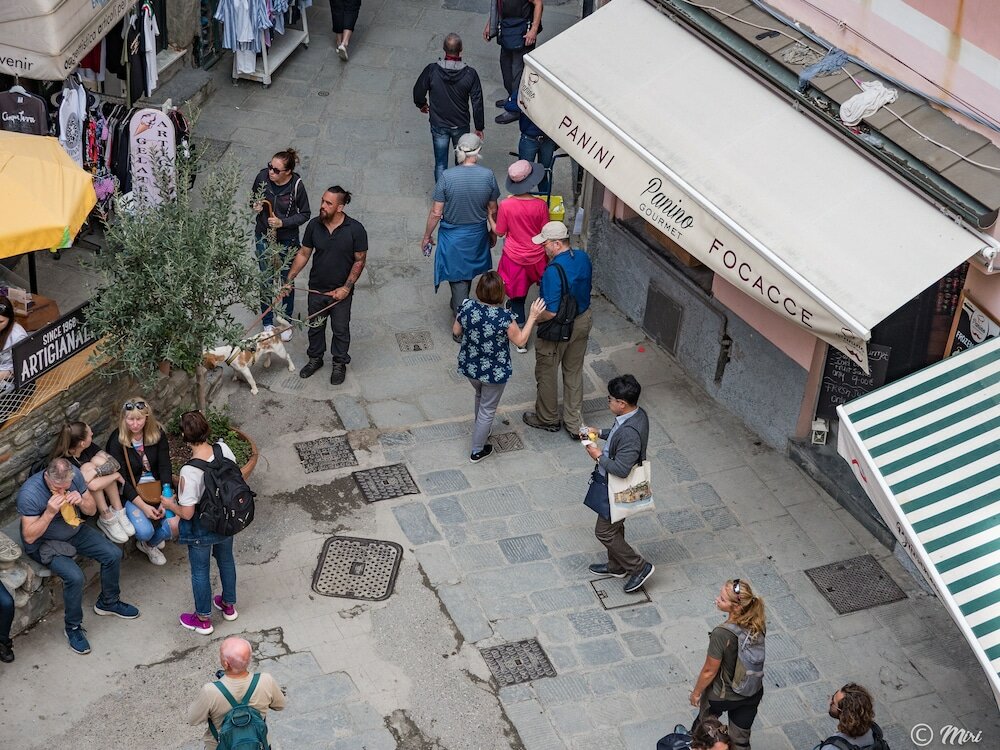 Фото El Nin Apartment With Terrace