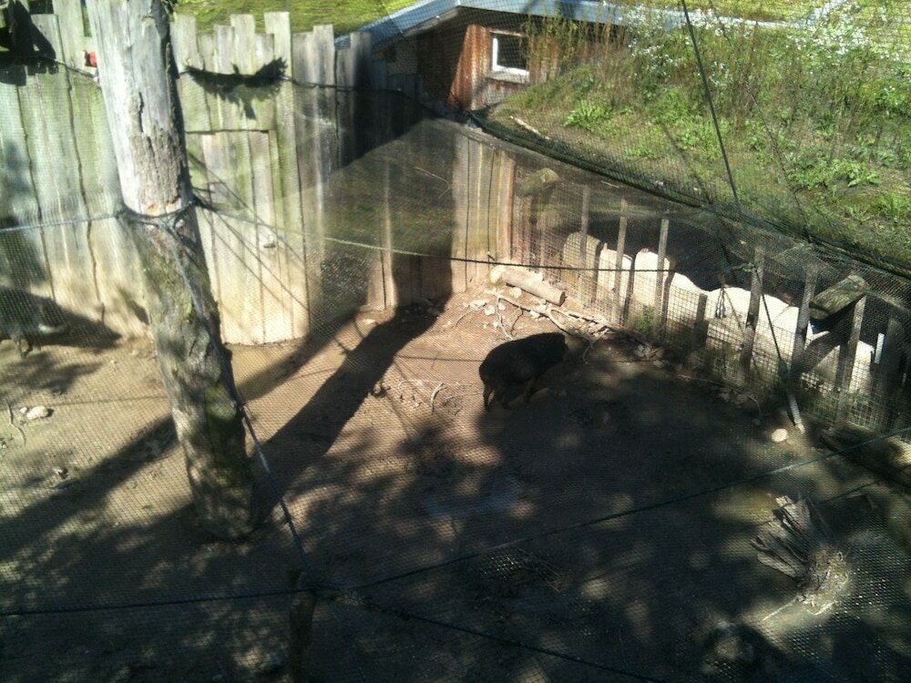 Фото Gästehaus Peterhoff