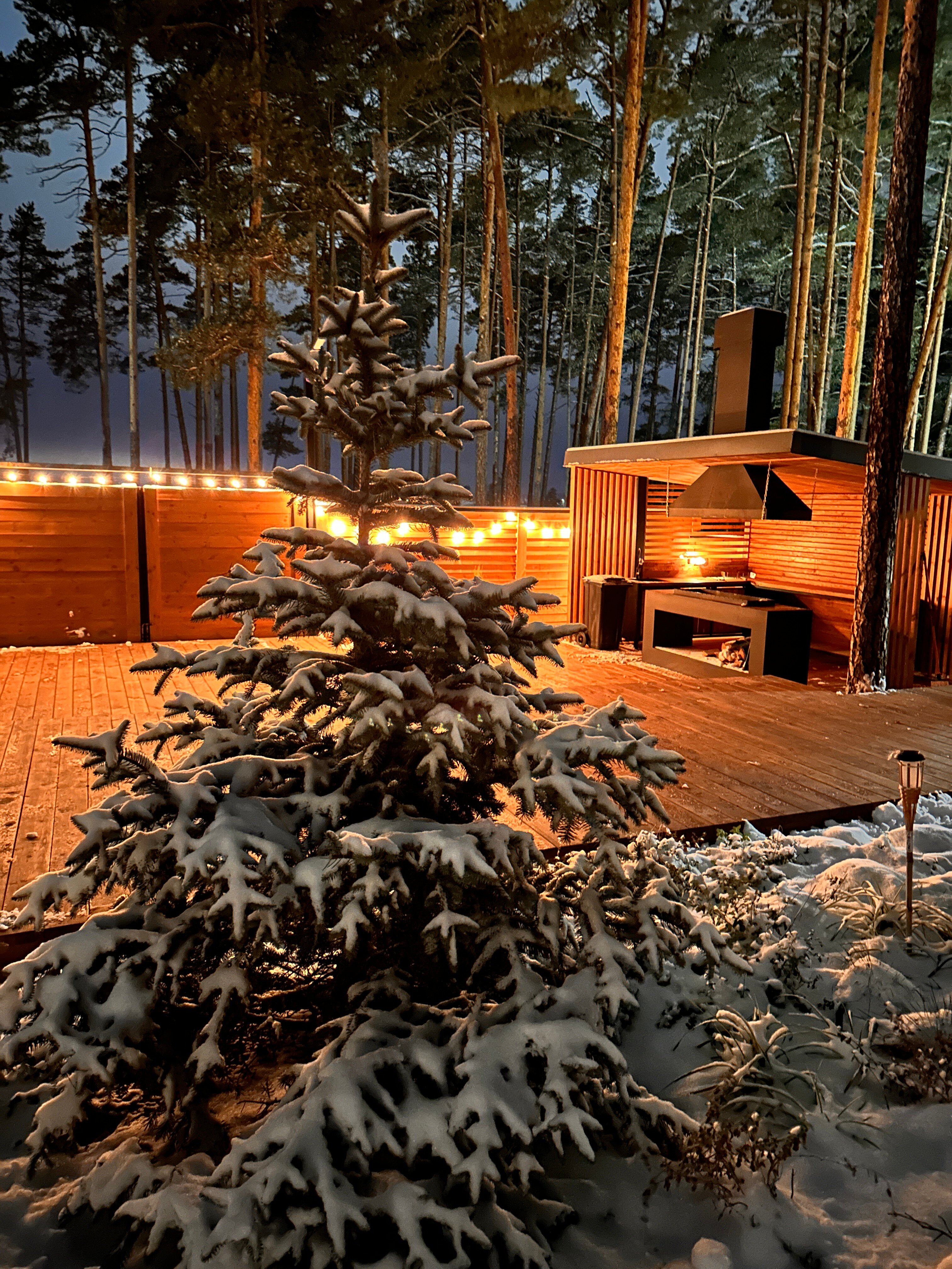 Фото Янтарь