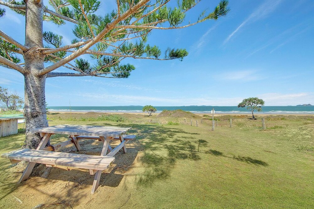 Фото Driftwood On The Beach